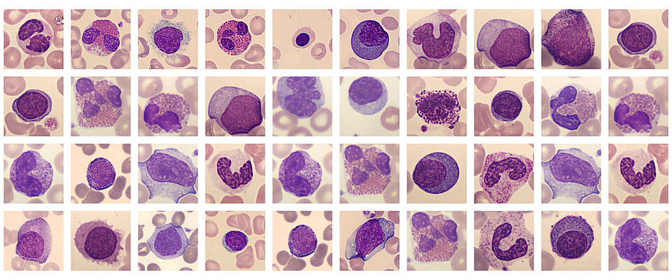 Under the microscope and under construction